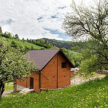 Villa Grace Oryavchyk Extérieur photo